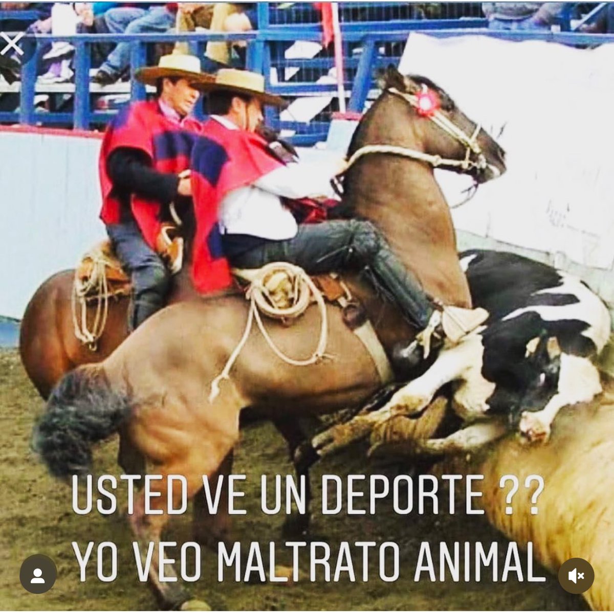 Impedirlo es un acto de justicia! 
#NOALRODEO