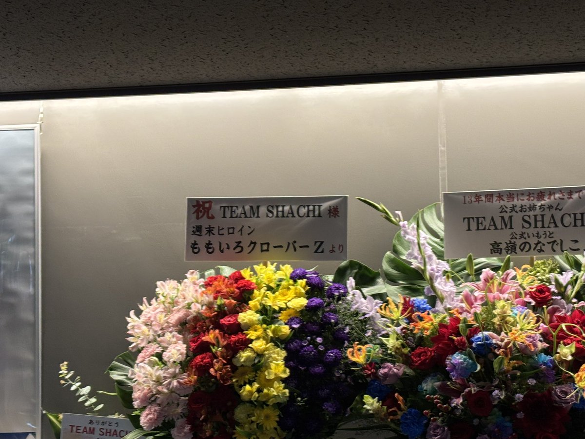 BiCrul's tweet photo. チームシャチを見に立川へ。チケットソールドだったようで。ももクロが開演前に現れたときは鳥肌ものだった。シャチの曲も良い曲たくさん。数年ぶりに行ったけど、知らない曲も含めて満足。 #TEAMSHACHI https://t.co/54wi7af2Lj
