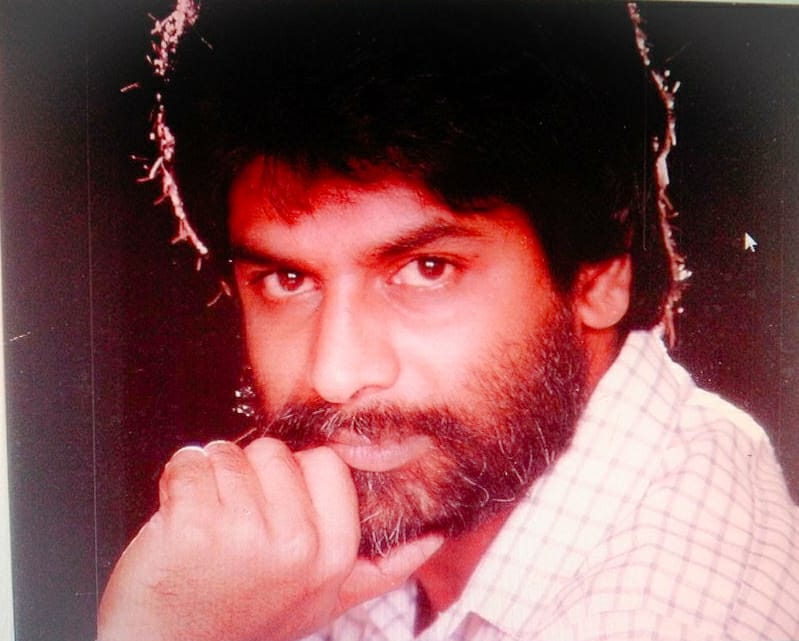 Pixelated Pigeon tweet media