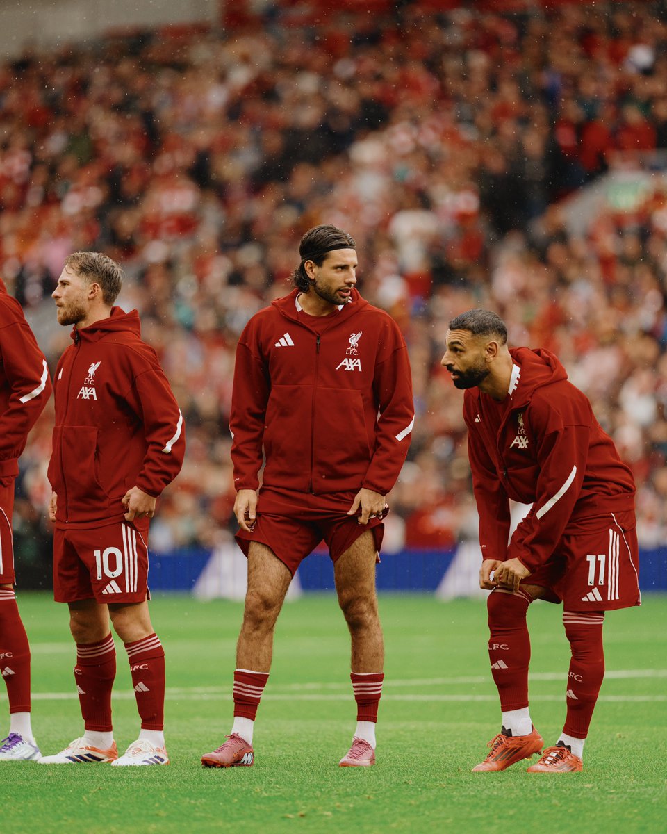 Steven Halliwell (@stehalliwell_) on Twitter photo 