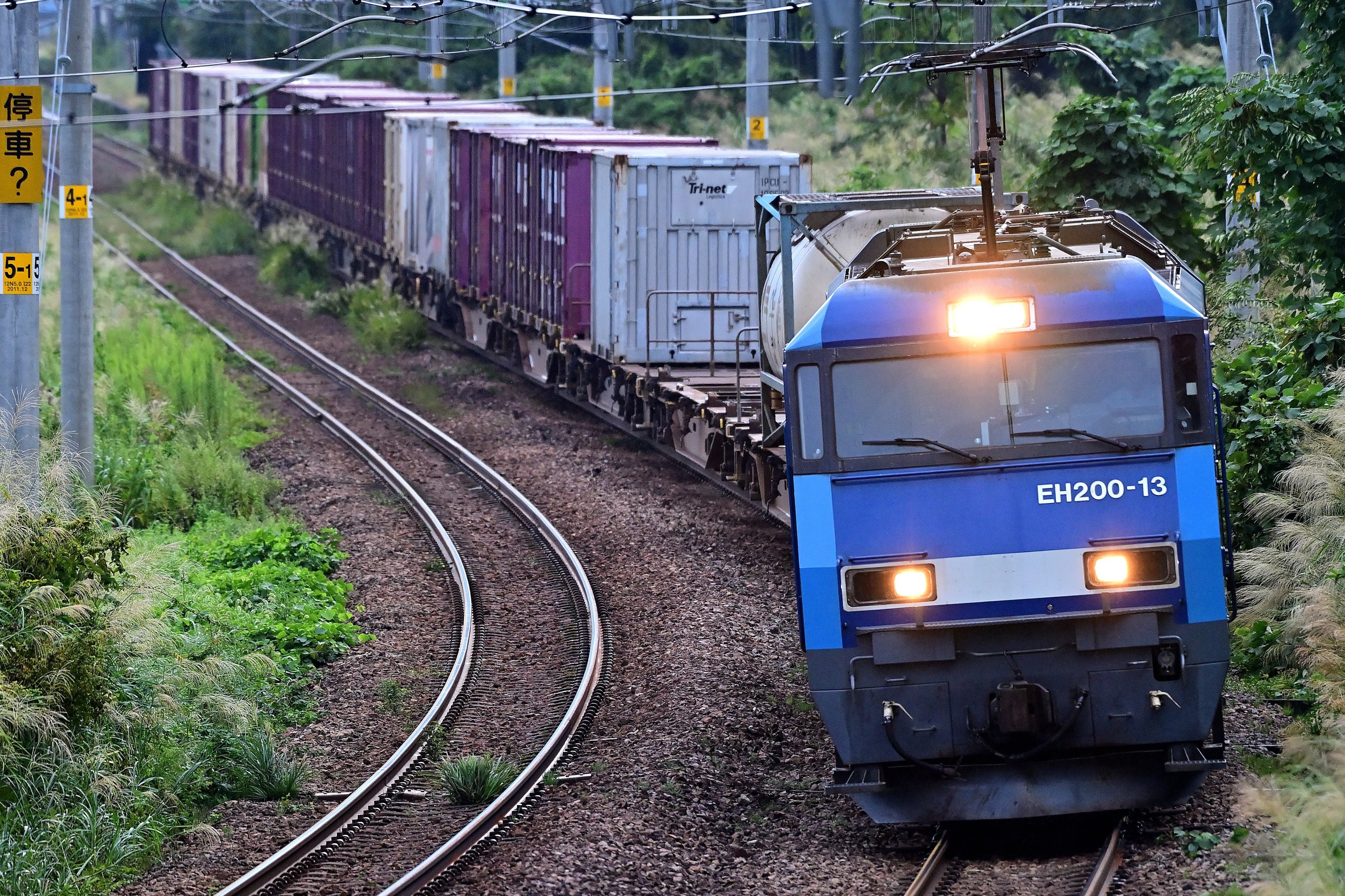鉄道 レール PLARAIL Real Class 113 Series Commuter Train (JR East