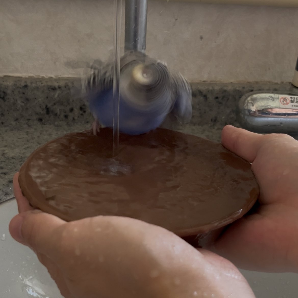🌀の水浴びシーン（動画の切り抜き）

頭濡らしただけで全身浴びた感出してくるのがかわいい🥰