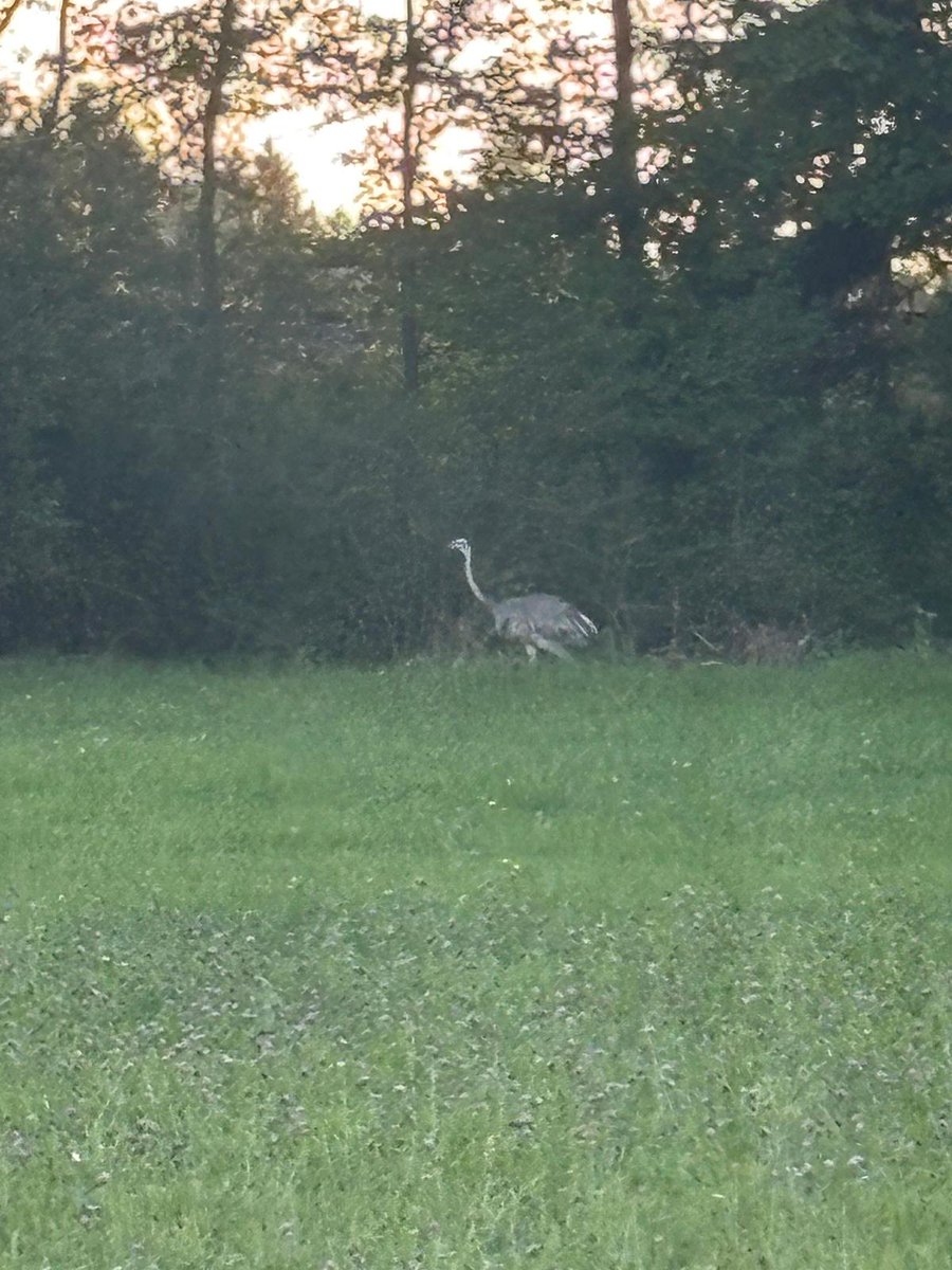Den haben wir leider auch noch nicht aufgespürt seit gestern.