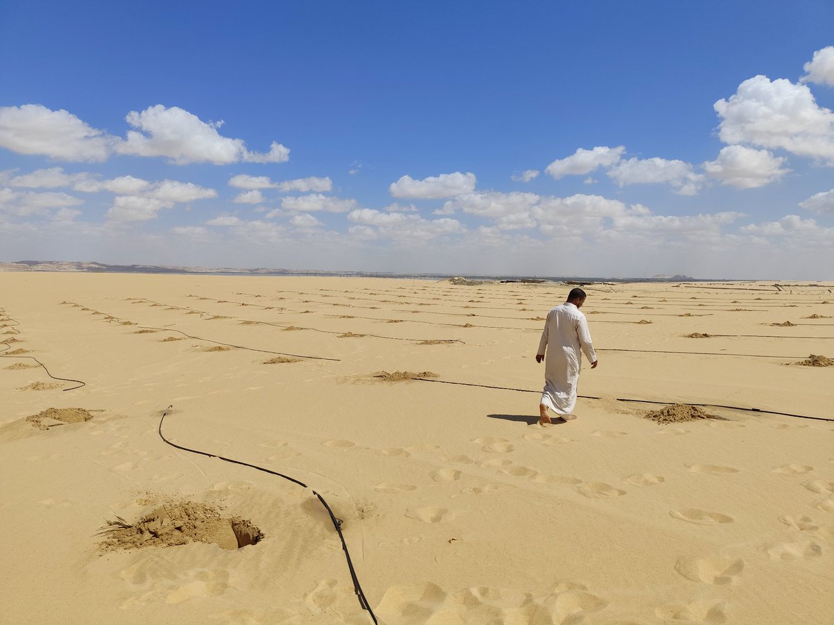 Touching some sand and planting trees.

Waiting for alt season...