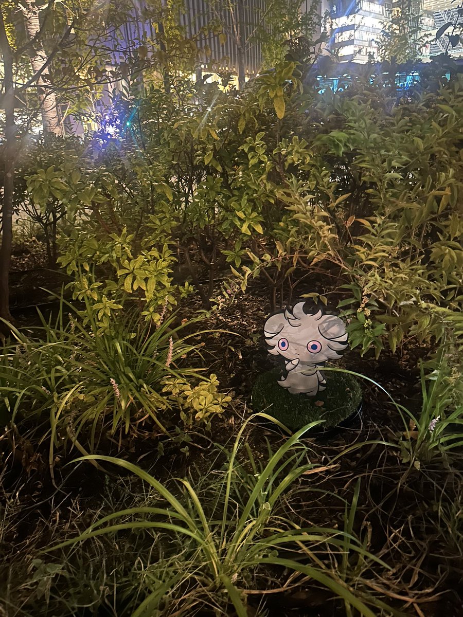 chapokego's tweet image. 久々にフレンドさんにリアルでお会いしてのポケ活🤝🤍
お互いにコダック100送りあったの最強すぎ！！！！！
良き休日だった！！！！！ありがとうございました！！！！！