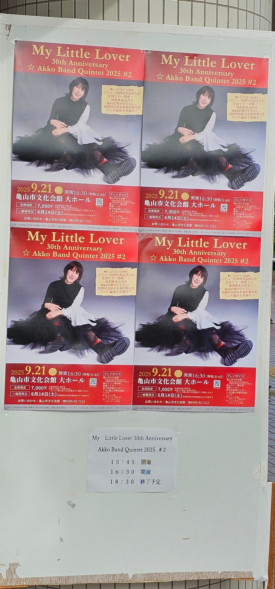 MyLittleLover - Search / X