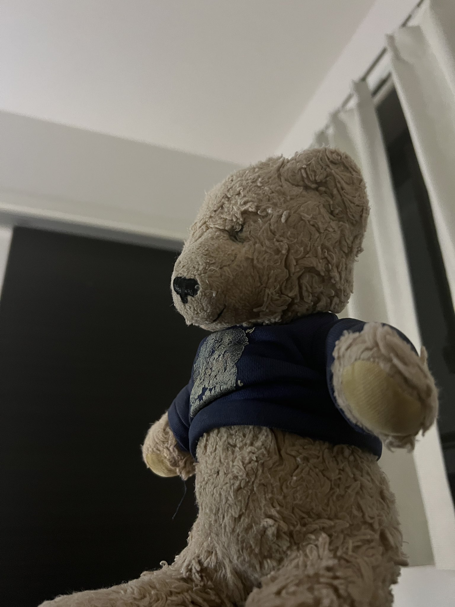 くま (@mark_teddybears) / X