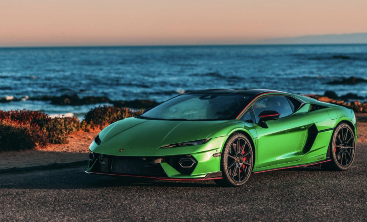 Rescue Loris tweet media