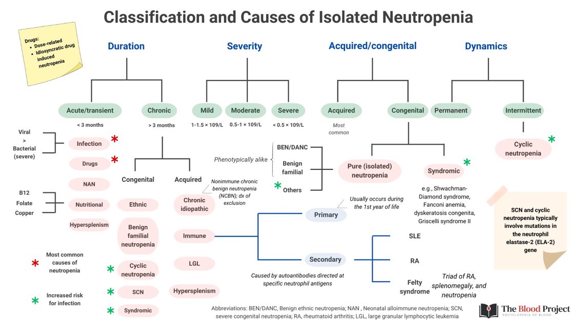 Classification and causes of isolated neutropenia <a href="/WilliamAird4/">William Aird</a> <a href="/TheBloodProjec1/">The Blood Project</a> #MedEd