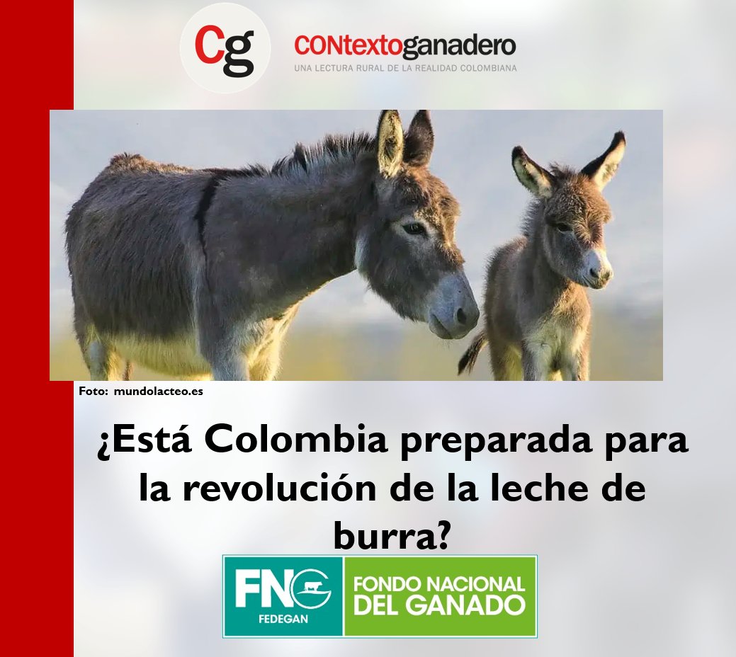 En Europa crece su demanda y precio por sus propiedades nutricionales y funcionales. En Colombia apenas se está visibilizando su ingreso con propuestas inciertas y escasa producción nacional. 👉 acortar.link/9eXmQd
<a href="/jflafaurie/">José Félix Lafaurie</a> <a href="/Fedegan/">FEDEGAN</a> <a href="/ContGanadero/">CONtexto Ganadero</a>
