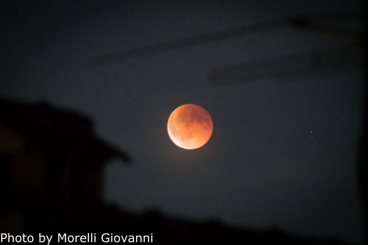 vanrell67's tweet image. 