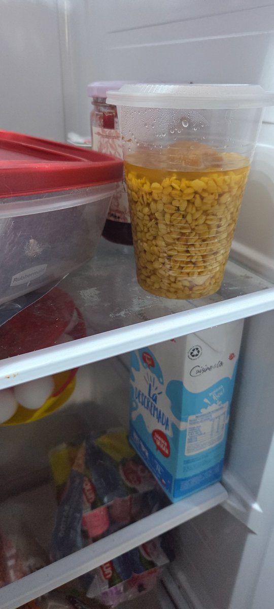 The last mote con huesillo of the year...
Hey <a href="/on_kinky/">🔞ShameOnMyKinkyDraws (coms closed)</a> you understand how I feel rn right? XD
Now, back to terrorizing tinies XD