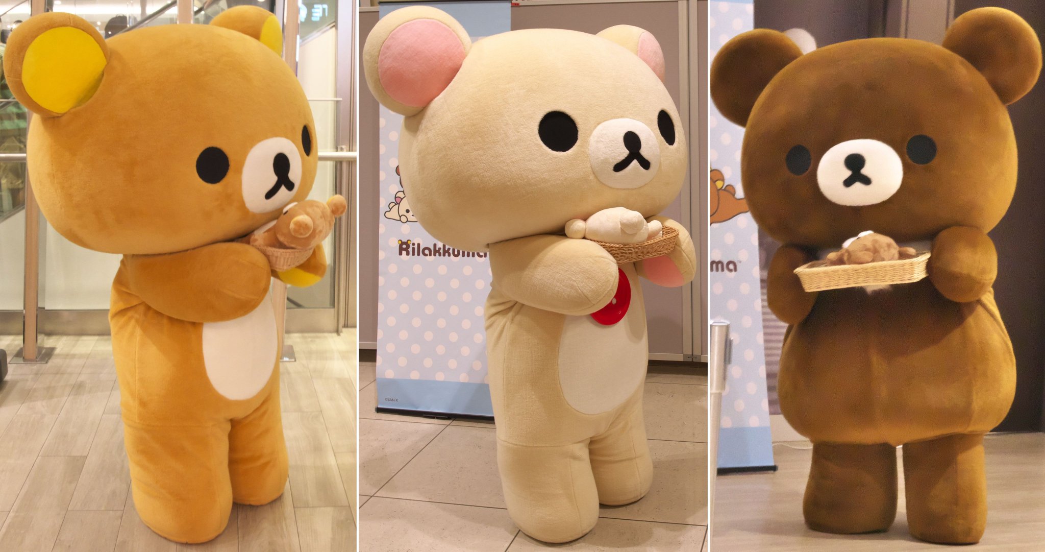 ねこっくま🍓 on X: 