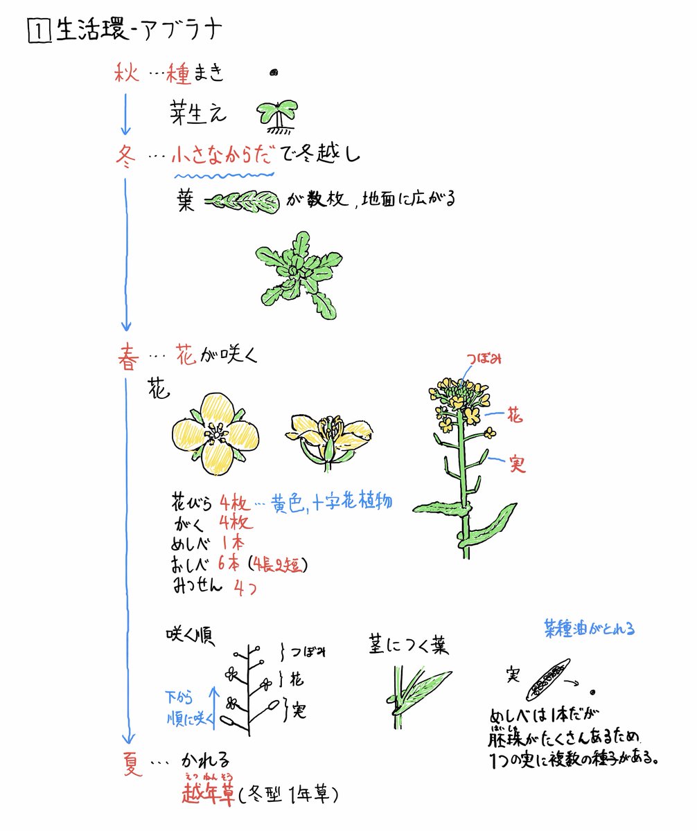 理科 - অনুসন্ধান / X