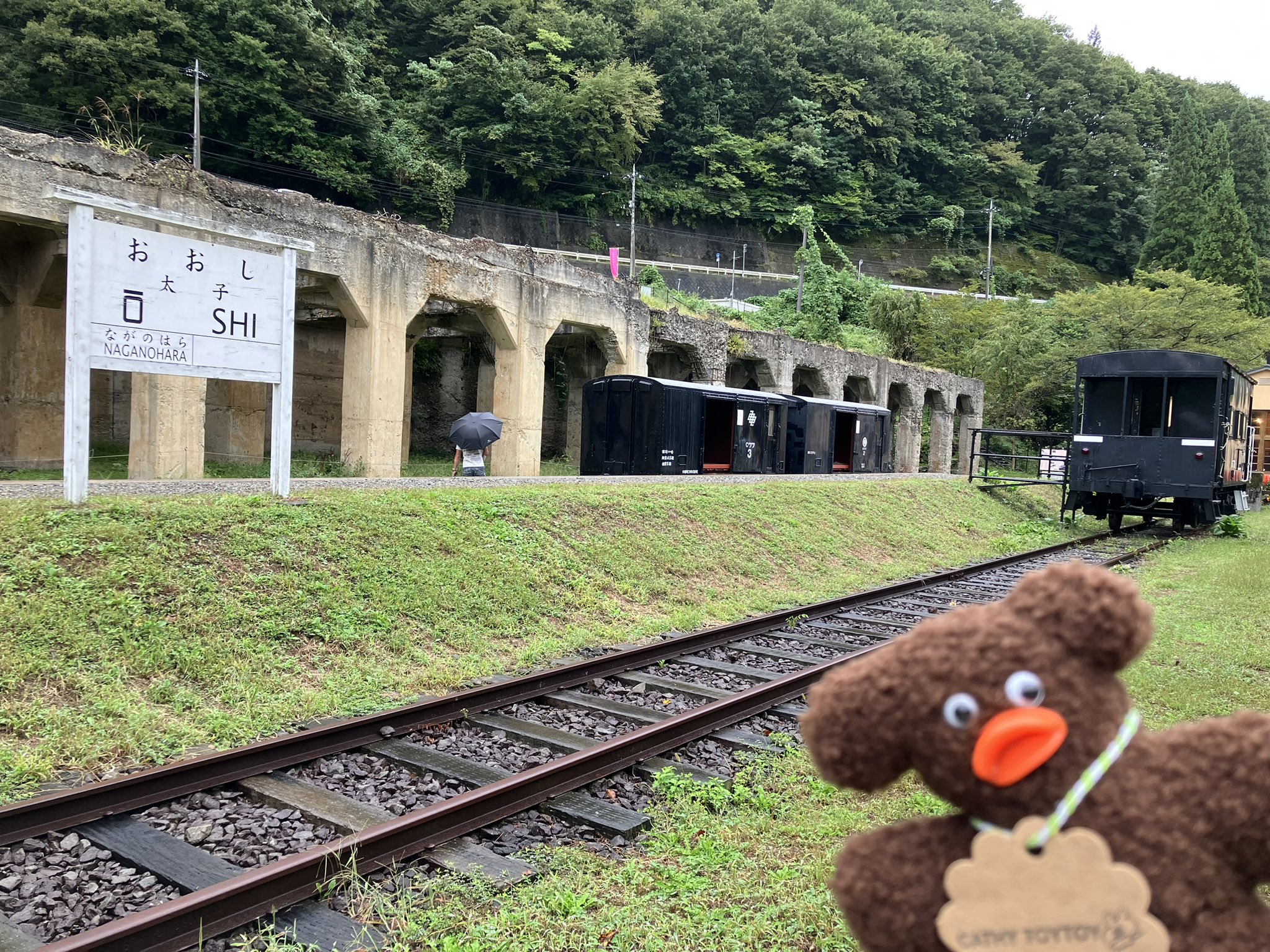 かりめろ ⚡️かりめろ⚡️ (@000calimero000) / X