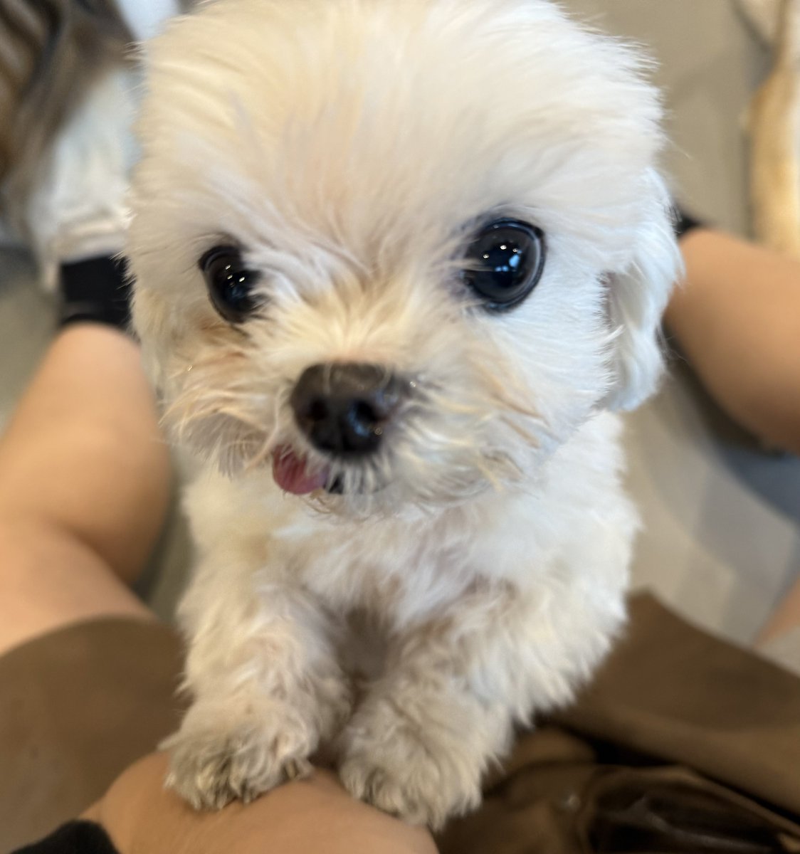 네? 고갱님 머라구여?? 안 들리는데 다시 말해주세여!!!