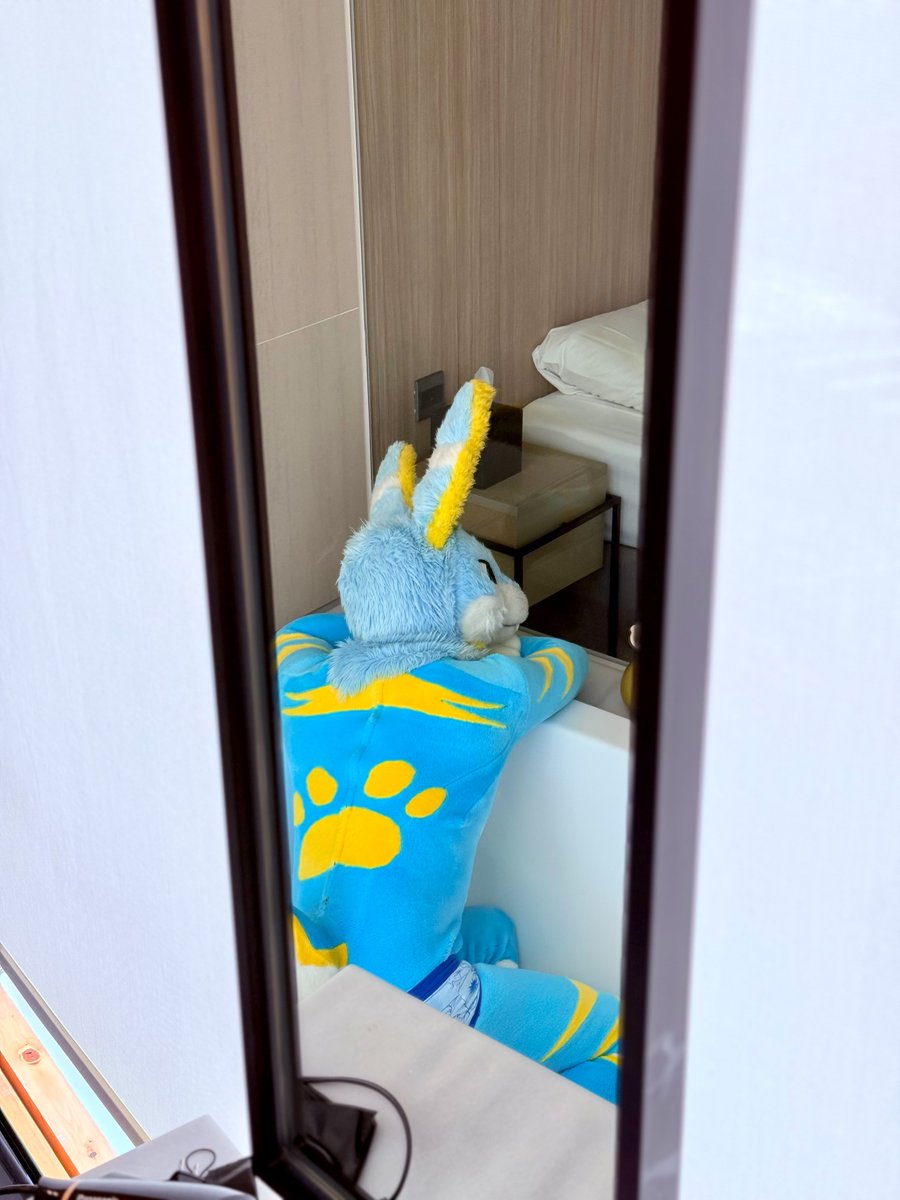 🇹🇼B. Cat⏩🇯🇵✧(순_순) tweet media