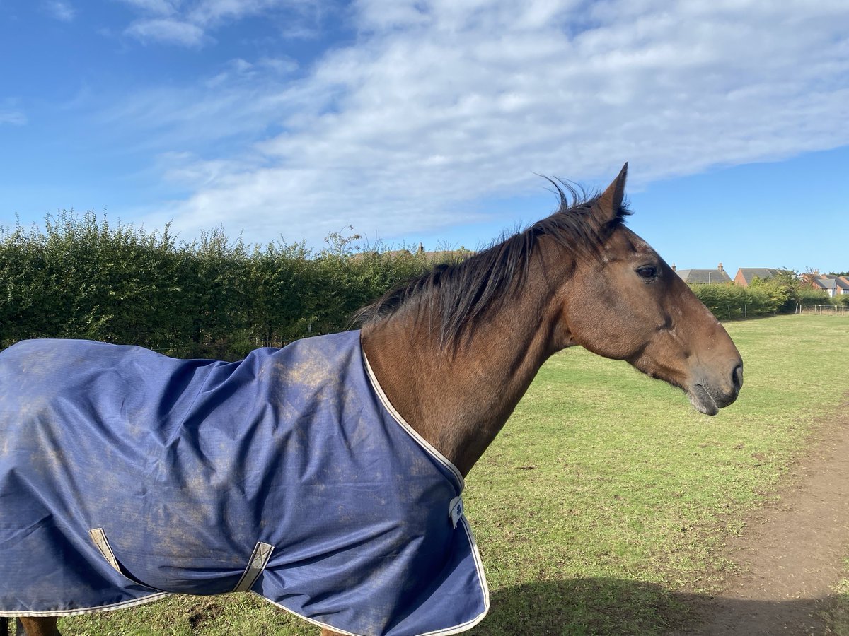 Tints at 27 - still walks out like a 5 year old…