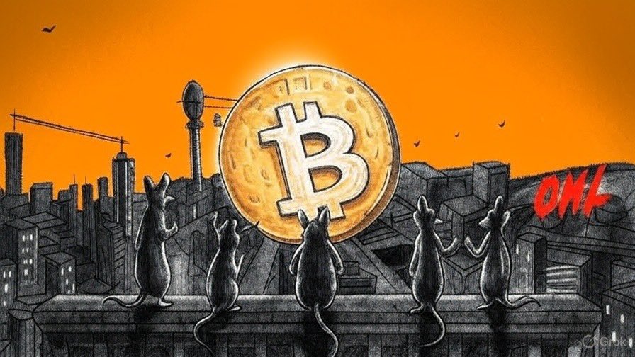 OML was never about shiny numbers.
It’s about control, mystery, and narrative weight. 🐀

What’s untold:

•The way <a href="/__O_M_L__/">OML</a> uses secrecy as utility ~ keeping the crowd guessing is part of the game.

•The rats aren’t just mascots, they’re archetypes: survival, plotting, moving