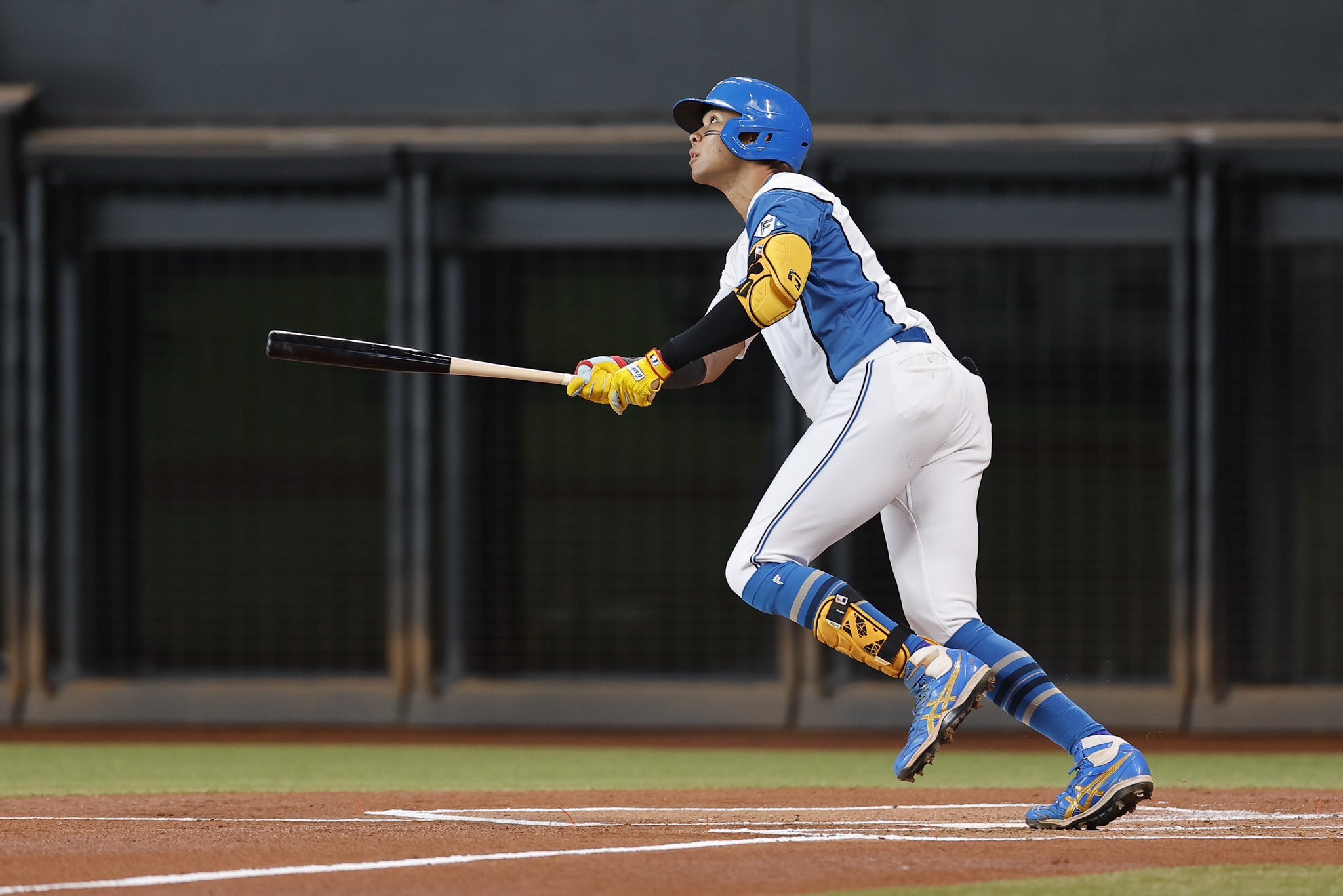 北海道日本ハムファイターズ　野球　スタジャン　ジャンパー ブラック　黒　野球 北海道日本ハムファイターズ公式オンラインストア｜アウター