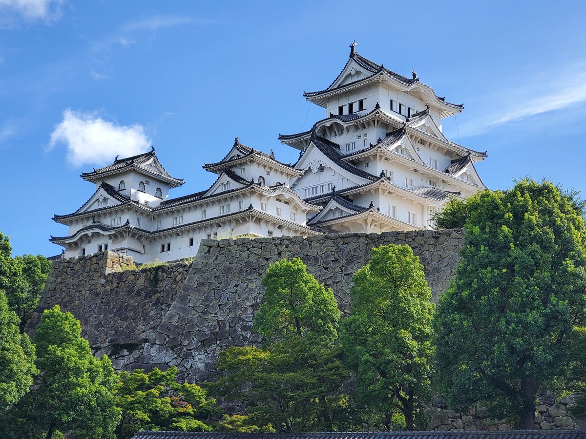 お城にサバゲーマーが来たらやるよね?

🟩狭間から射撃するポーズ😹
🟩火縄銃にテンション⤴️

#姫路城
#お城