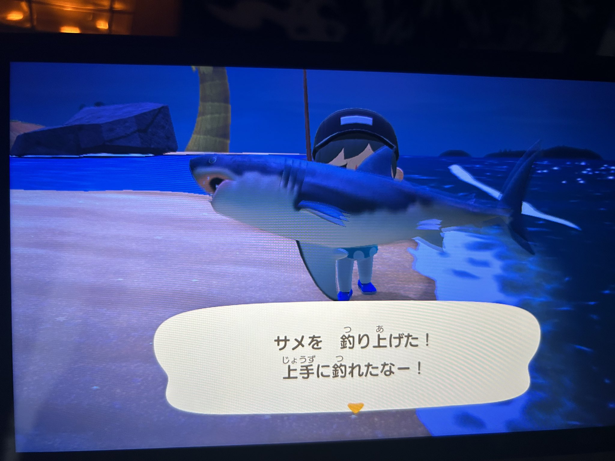 めておら らぴすくん 冬ビジュデフォ めておら らぴすくん 冬ビジュデフォ 自己紹介】Lapis / らぴす