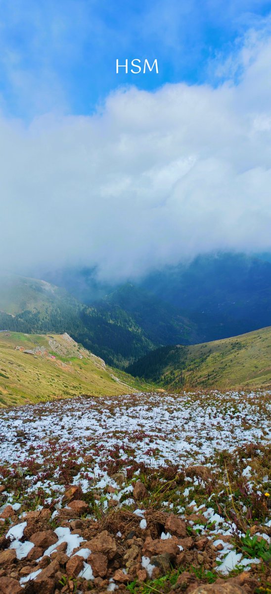 حامد المطيري (@ofbaaa) on Twitter photo 