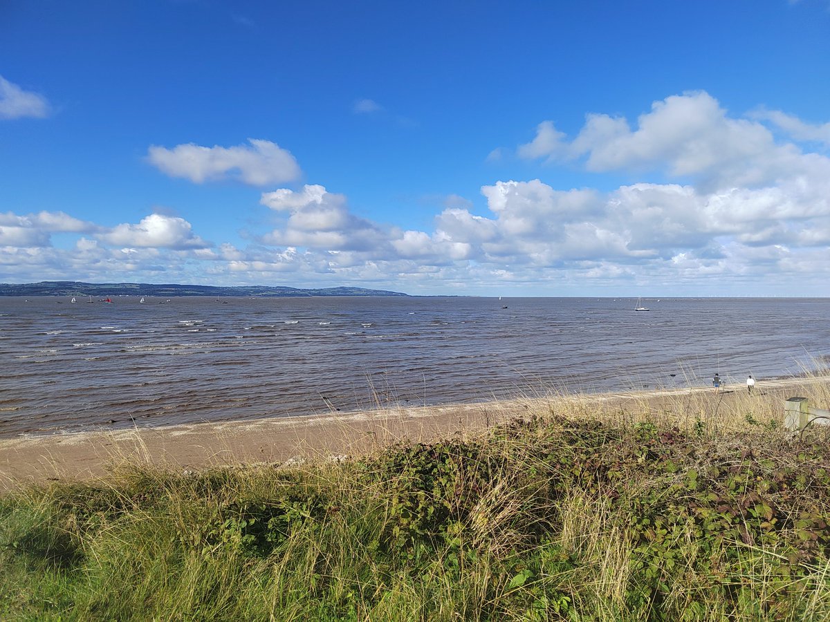 What a morning to be alive and run