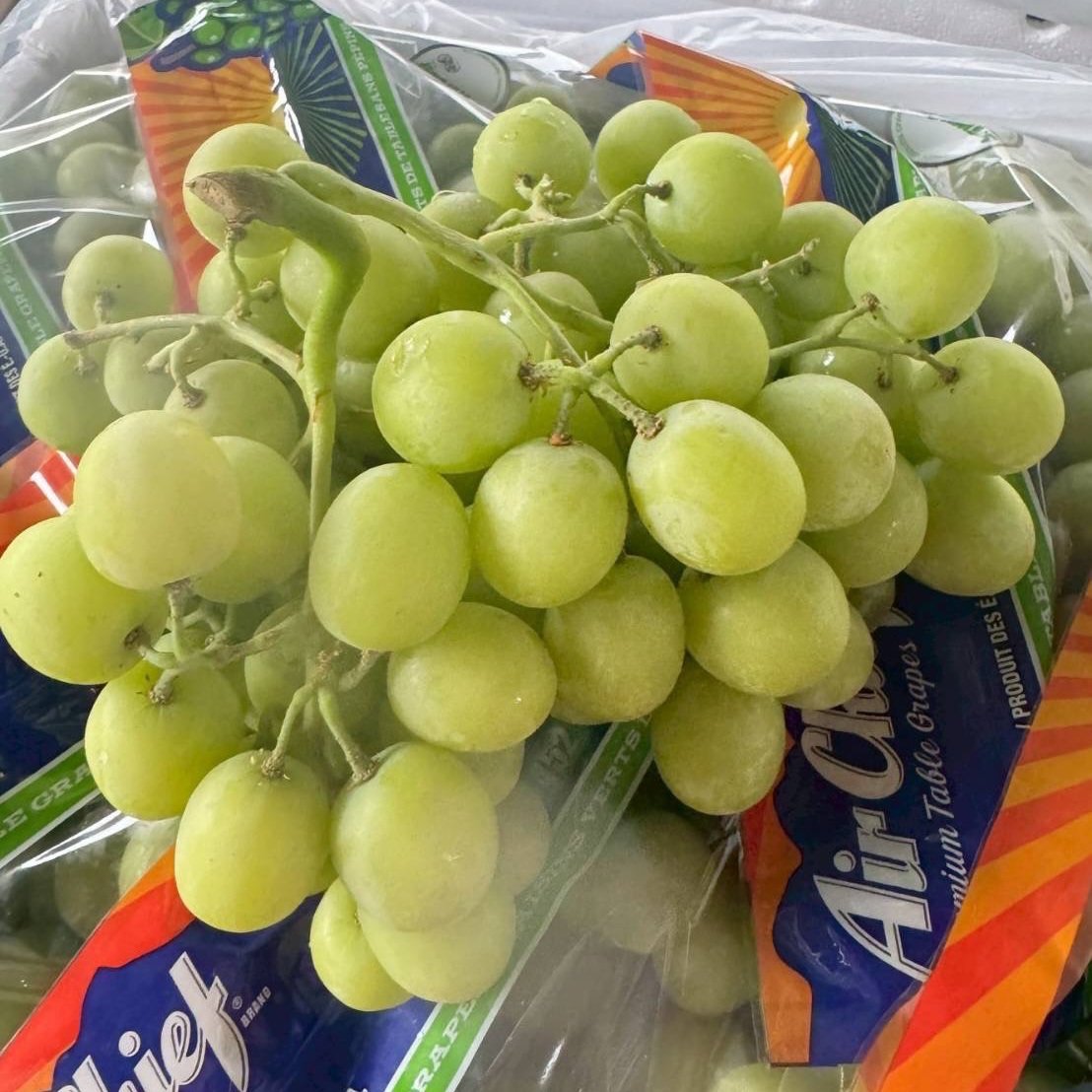 Gpremiumfruits's tweet photo. 1 kg. 480฿
2 kg. 900฿ 
น้องมาเครื่องบินก้านเขียวสดมากๆ 🫶 https://t.co/OHrKRgW2RR