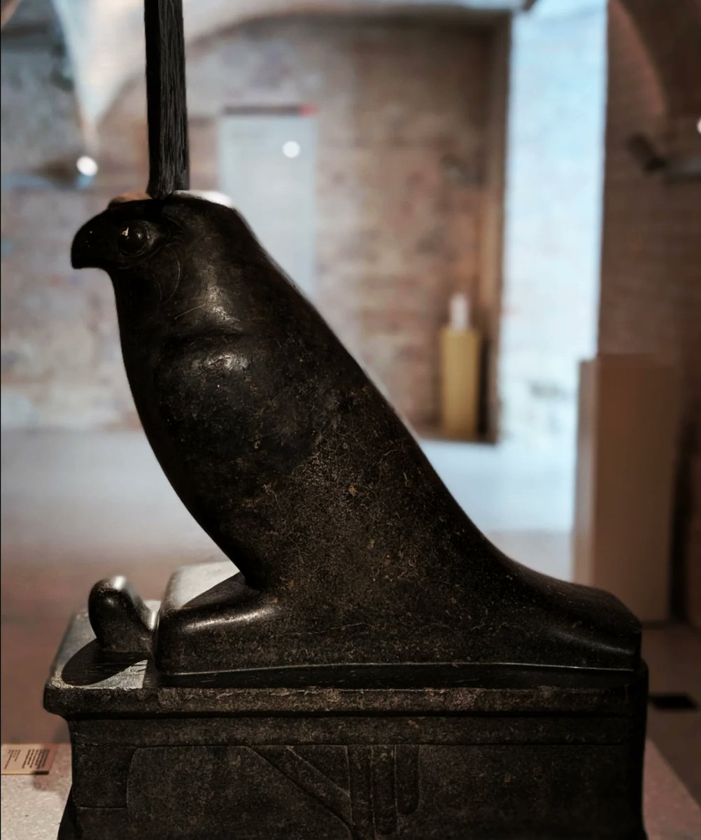 EgyptMcr's tweet photo. After a most interesting visit @hawkconservancy this week to see raptors in action, I'm reminded of this powerful statue of a raptor deity in Berlin, unusually shown perched directly on a distinctive standard - itself a sign of divinity π¦
β¨
#StatueSunday #Faconry #AncientEgypt https://t.co/8RO0GRBrp5