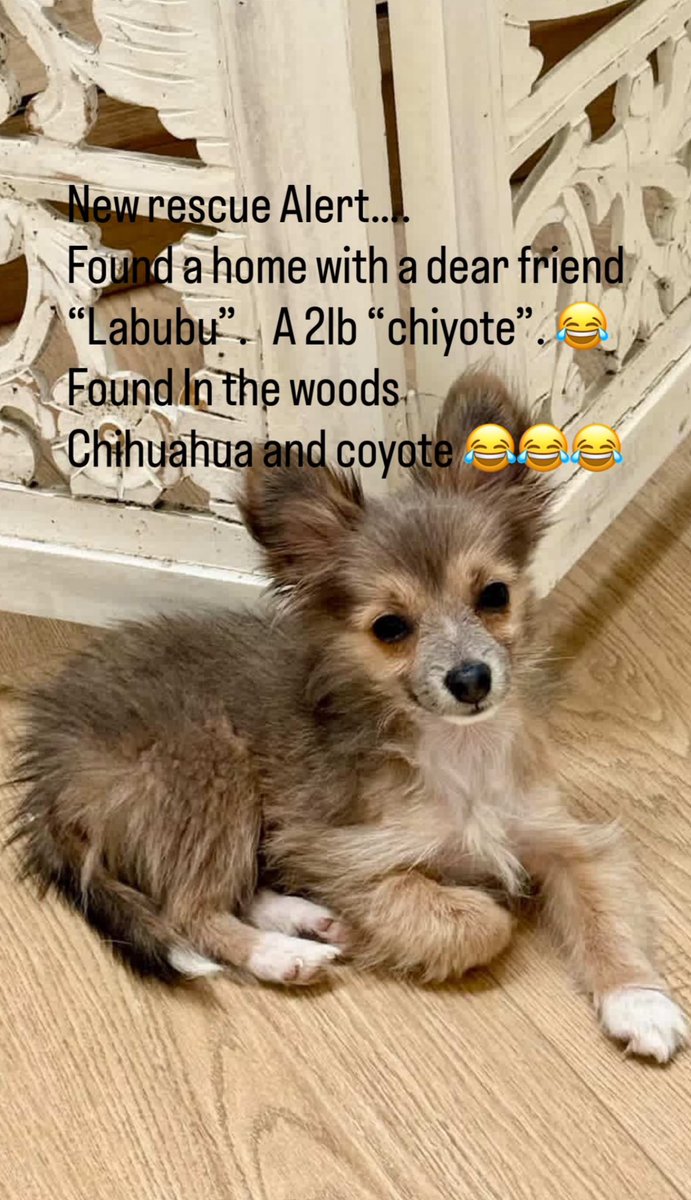 Jeremy Renner (@rennernews_) on Twitter photo 