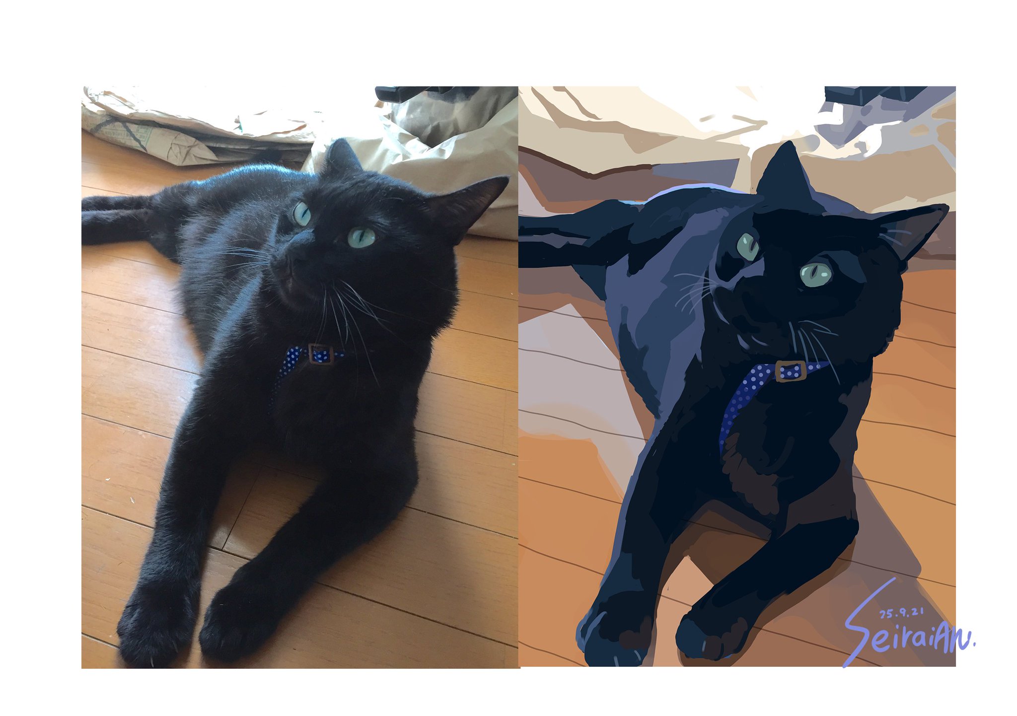 しげ* on X: 