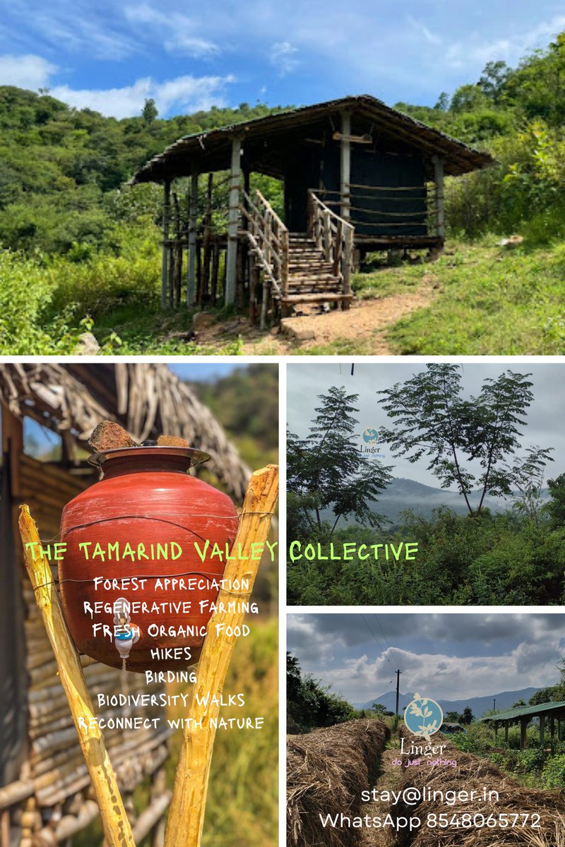 do nothing vacations tweet media