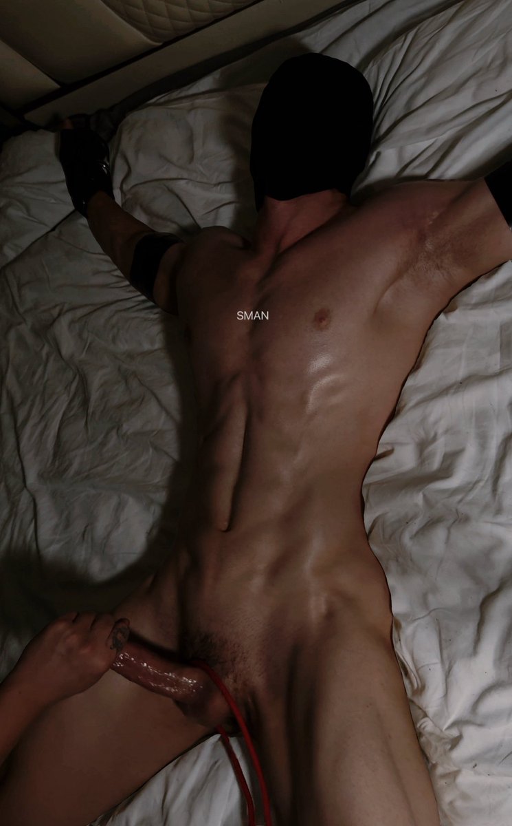 külotsiz va tukli mushuk bilan plyajga