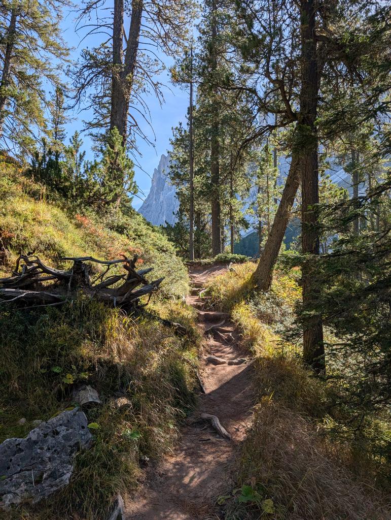 Pescegatti tweet media