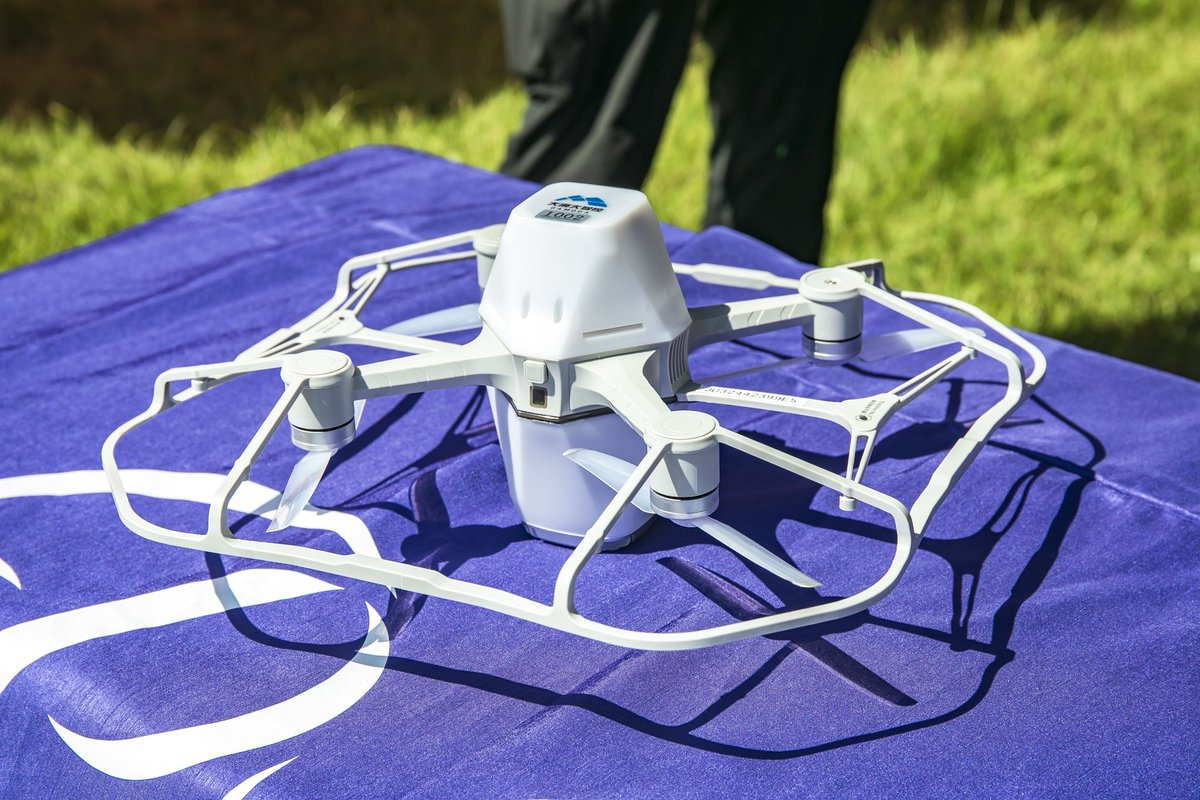 PYRAMID GARDEN tweet media