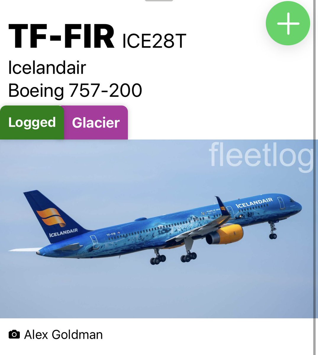 Susie 🐝 tweet media