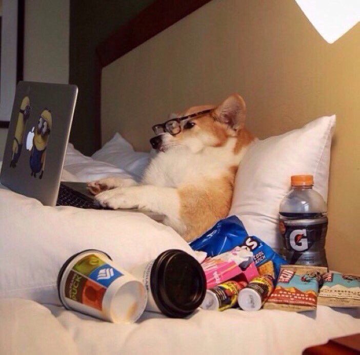 Sunday Mood😀

While I wait for the $monkey team's next marketing move