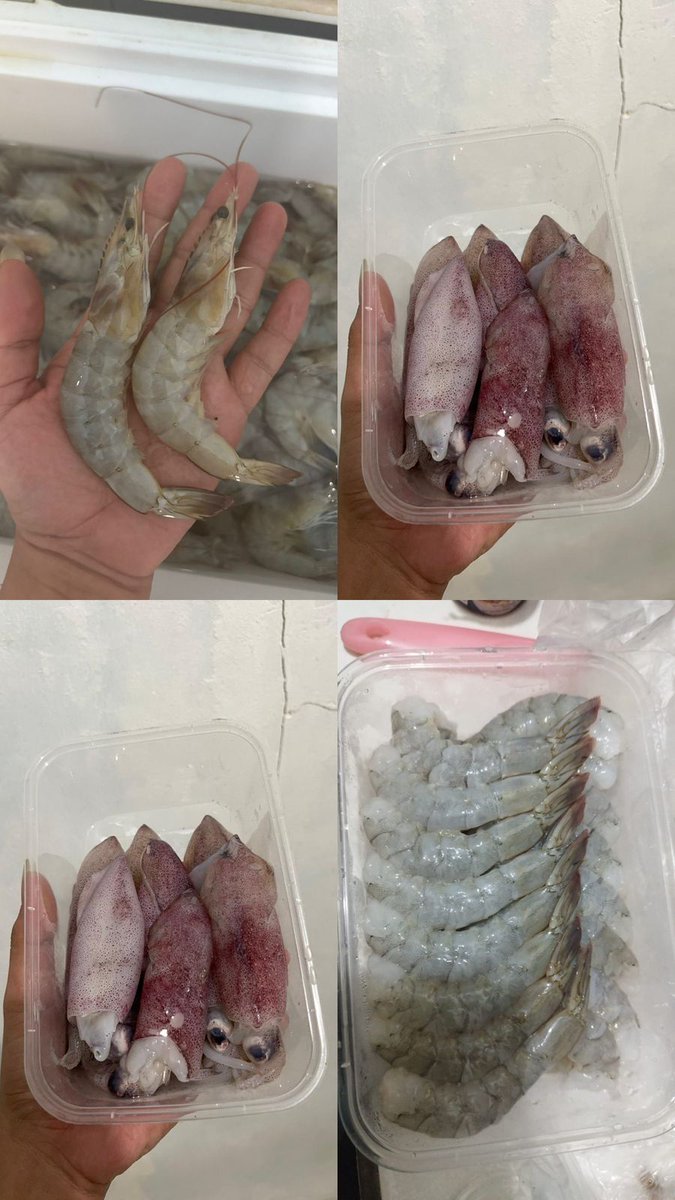 Bantu RT ya gais.
Aku mau Giveaway 2Kg Cumi.

RT+Like

Reply apa plus minus dan alasan kalian untuk beli atau tidak beli di brand seperti Pr*ma Fresh atau Kios Ungg*s

Aku mau buka versi Seafood fresh and frozen nya gais. Karna lingkungan sini juga sudah mulai banyak pembeli.