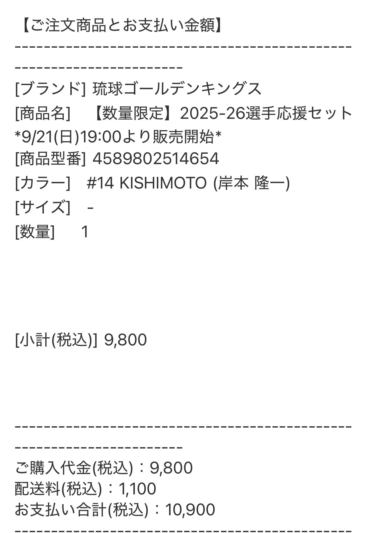 琉球ゴールデンキングス　※ご購入前にコメントお願いします。 琉球ゴールデンキングス オフィシャルブック2025-26 SEASONの