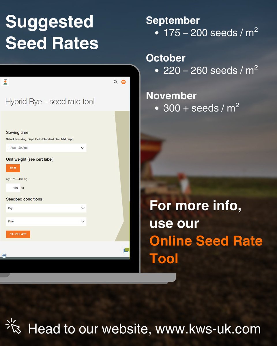 KWS UK Ltd tweet media