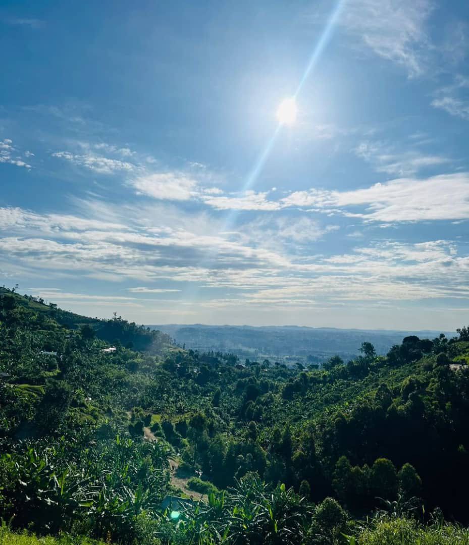 Buhweju, a district in southwestern Uganda known for its tea-growing regions and magnificent hills covered with tea, is being positioned for tourism development with the Ministry of Tourism, Wildlife and Antiquities planning to exploit its potential, including eco-tourism.