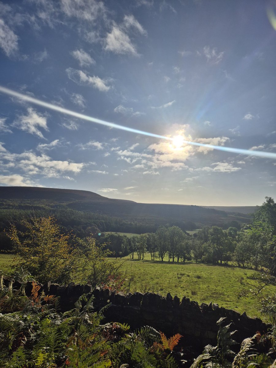 Vitalstatistix1's tweet image. North Yorkshire this morning.