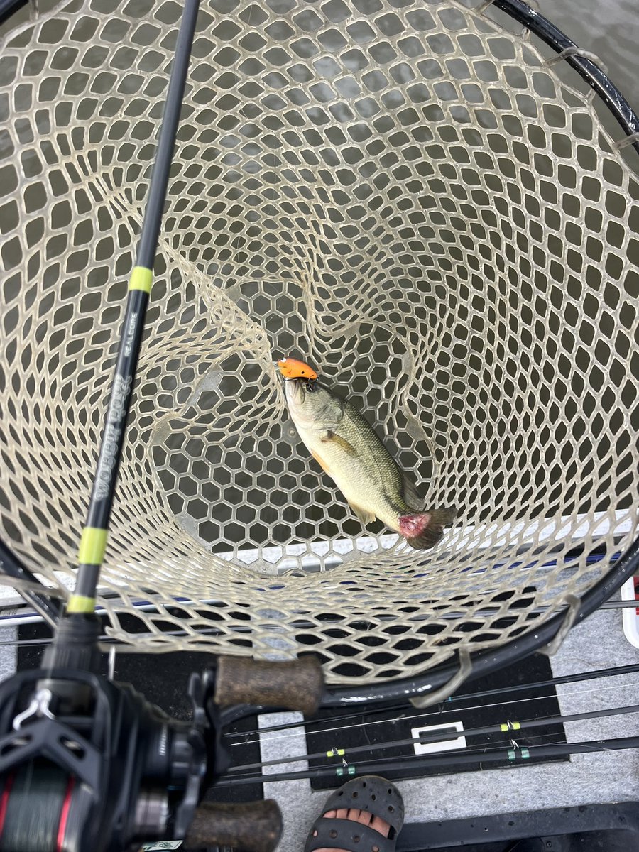 REALCORE (@REALCORE_JP) / X