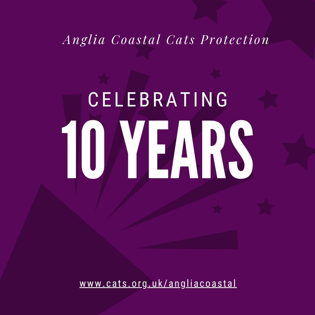 We hope you’ve enjoyed reading the stories about our featured cats, all rehomed from us over the past ten years.

We’re thrilled that they went to such lovely homes, and   we’d like to thank their owners for agreeing to allow them all to be featured, and for pictures and updates.