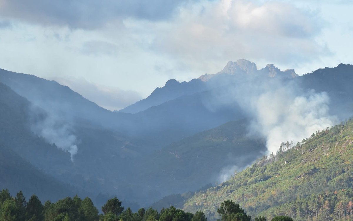 🔥 Torneiros (Lobios) D.XV

Son 2 focos. Segundo as primeiras estimacións afecta unha superficie de 1 hectárea dentro do Parque Natural da Baixa Limia - Serra do Xurés. #IFRíoCaldoLobios