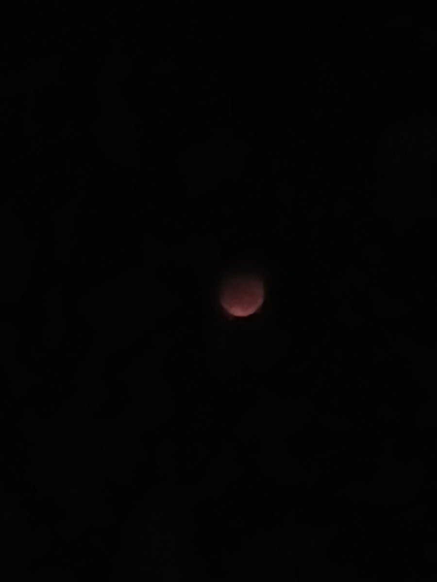 ilovedark22's tweet photo. покажите вашу эстетику при условии, что фотографиям из вашей галереи не больше месяца  🍂 https://t.co/2jypvgwPmH