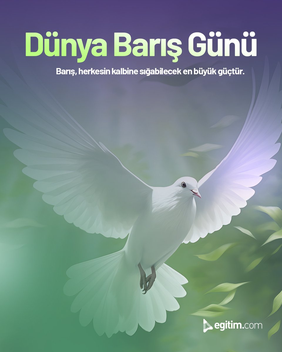 egitim_com's tweet image. Barış, küçük adımlarla başlar. 💙

21 Eylül Dünya Barış Günü’nde sen de çevrene umut ve sevgi yay! 🕊️

#DünyaBarışGünü #Egitimcom #Barış