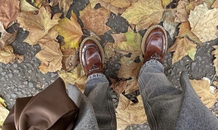 AcademiaDreams's tweet photo. “Autumn is a poem — while you fall for everything, you remember that there is something worth dying for.”

— Laura Chouette https://t.co/InT6403JUj