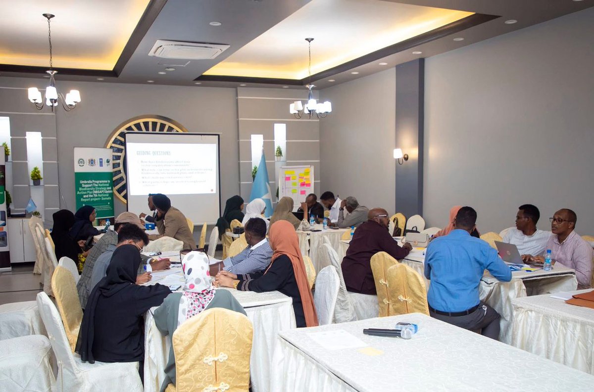 Somali Environmental Forum tweet media
